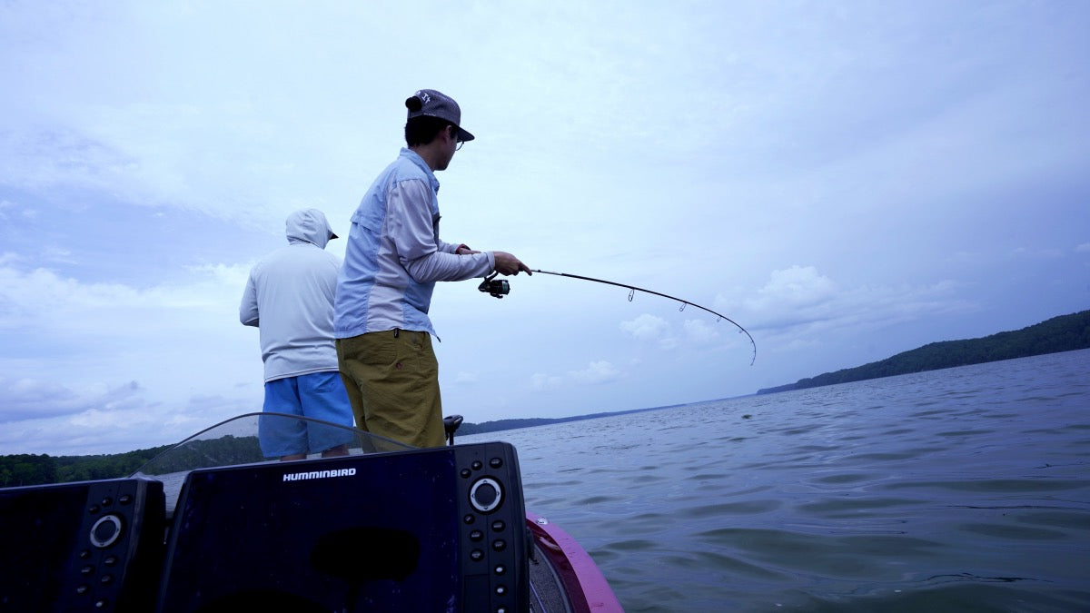 In Fish, We Care